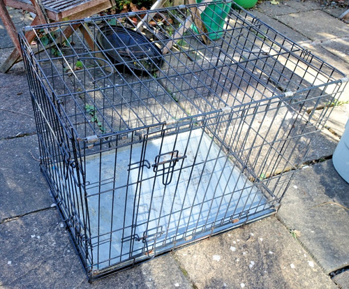 Folding metal wire dog crate - wire,