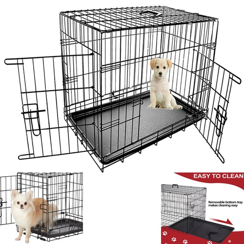 Dog pet training transport - dog,