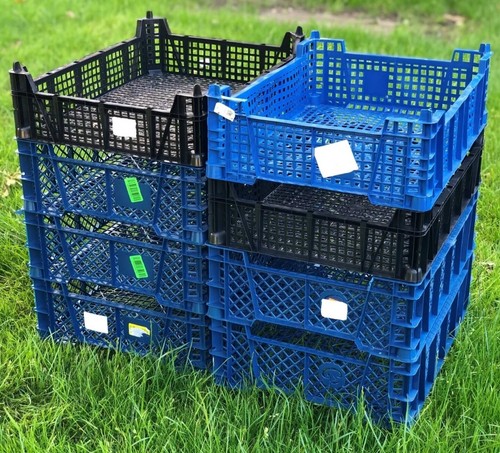 Mushroom crates blue - mushroom,