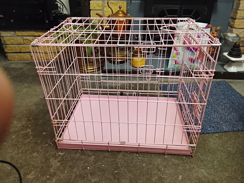 Pink folding steel - wire, dog