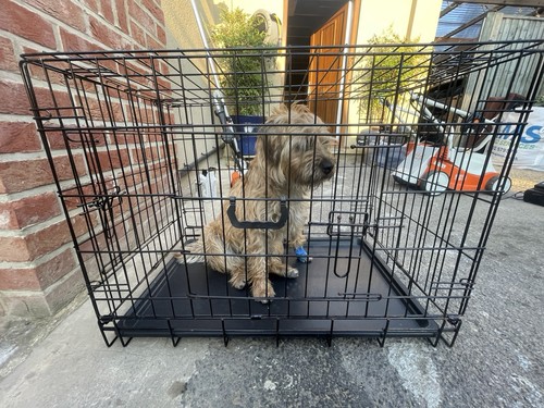 Folding steel wire dog - folding, cage