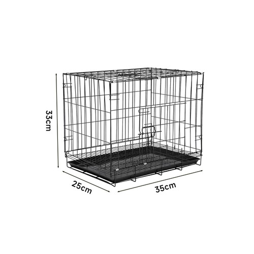 Small medium dog - dog, pet
