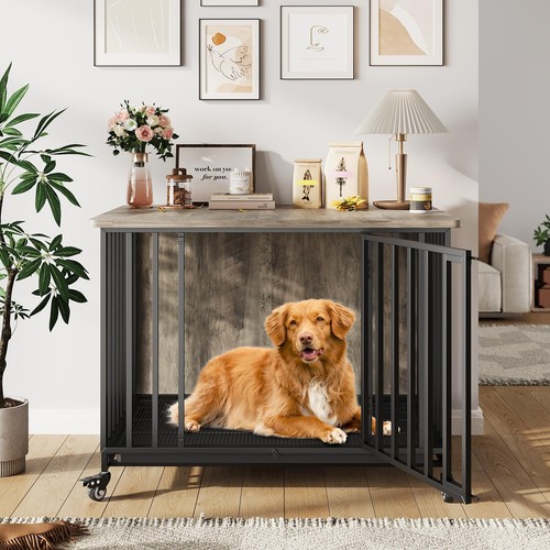 Dog cage pet - cage, crate