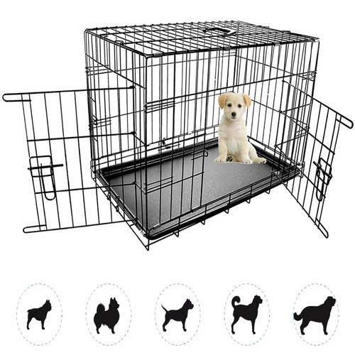 Dog pet training transport - training,