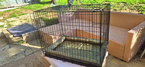 Medium folding metal dog - folding,